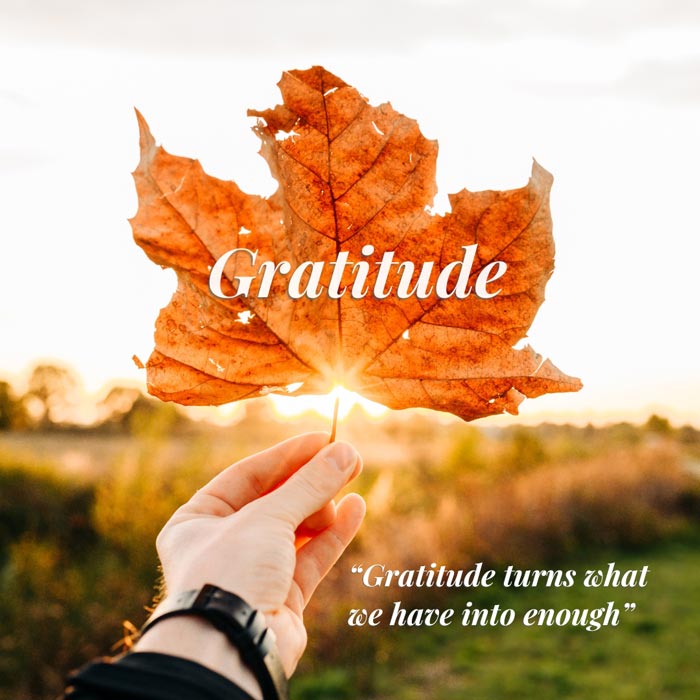 November A month of Gratitude.